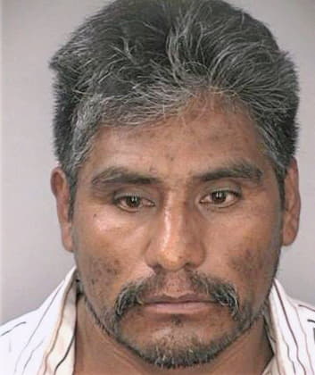 Tapiamartin Santiago - Hillsborough County, FL 