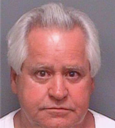 Fioramonti Dominick - Pinellas County, FL 