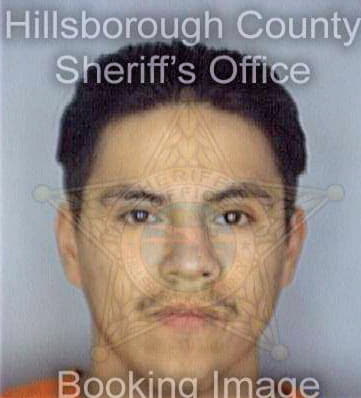 Barron Gabriel - Hillsborough County, FL 