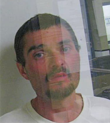 Robinson Jamie - McMinn County, TN 
