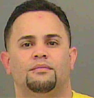 Gonzalez Joel - Mecklenburg County, NC 