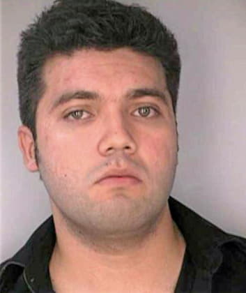 Silva Andrey - Hillsborough County, FL 