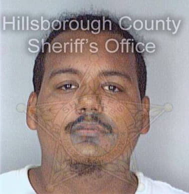 Gonzalezpadilla Ricardo - Hillsborough County, FL 