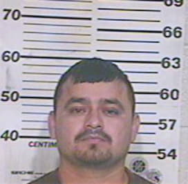 Garcia-Juarez Jose - Hidalgo County, TX 