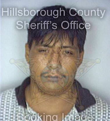 Perezgomez Domingo - Hillsborough County, FL 