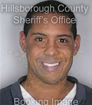 Smiley William - Hillsborough County, FL 