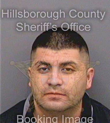 Guevarahernandez Jose - Hillsborough County, FL 