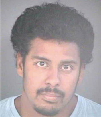 Carmona Henry - Hillsborough County, FL 