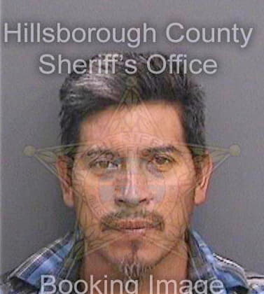 Friascuarenta Jorge - Hillsborough County, FL 