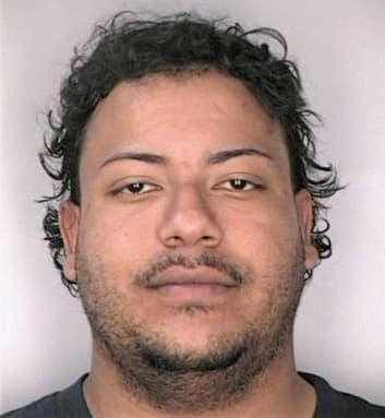 Gonzalez Omar - Hillsborough County, FL 