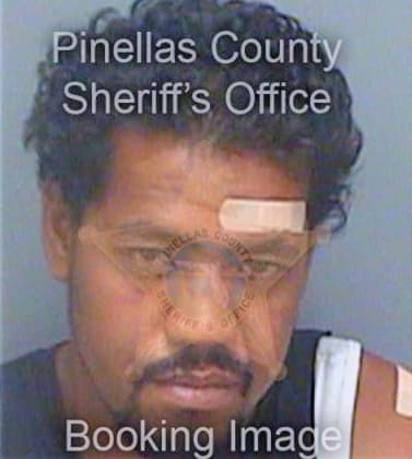 Posoa Isileli - Pinellas County, FL 