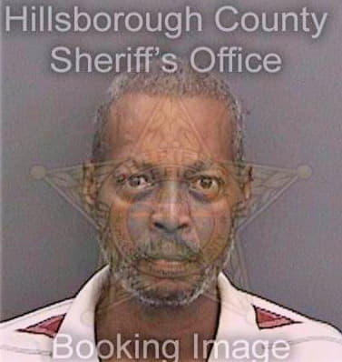 Solomon Michael - Hillsborough County, FL 