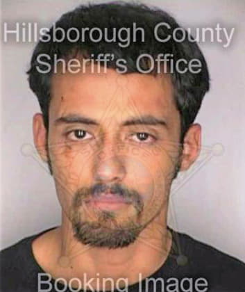 Ramirez Christopher - Hillsborough County, FL 