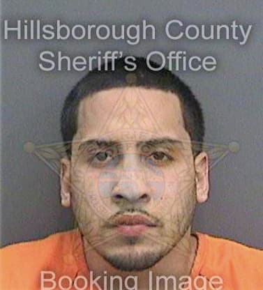 Medina Joshua - Hillsborough County, FL 