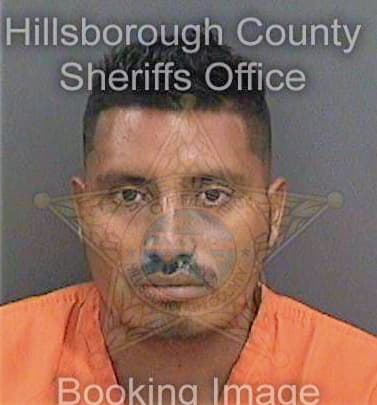 Perezlopez Yobani - Hillsborough County, FL 