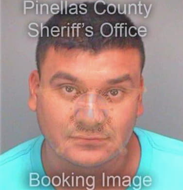 Hernandezgarcia Barnabe - Pinellas County, FL 