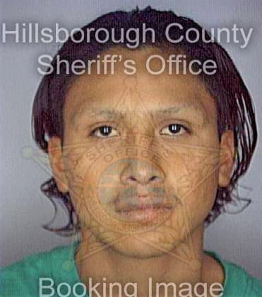 Enriquez Victor - Hillsborough County, FL 