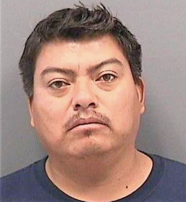 Navarretteguerrero Jose - Hillsborough County, FL 