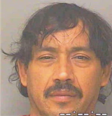 Trejo Jesus - Polk County, FL 