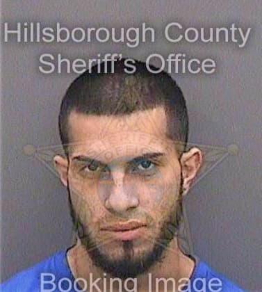 Vasquezmalave David - Hillsborough County, FL 