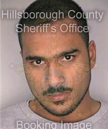 Hamid Aleem - Hillsborough County, FL 