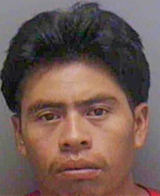 Gonzalez Andres - Lee County, FL 