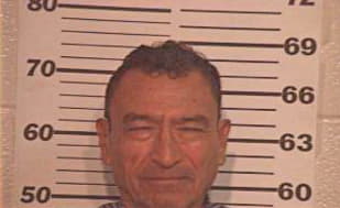 Hernandez Juan - Hidalgo County, TX 