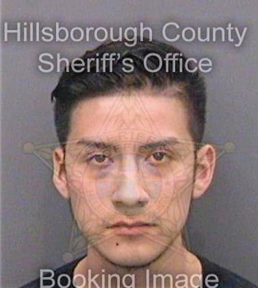 Frias Daniel - Hillsborough County, FL 