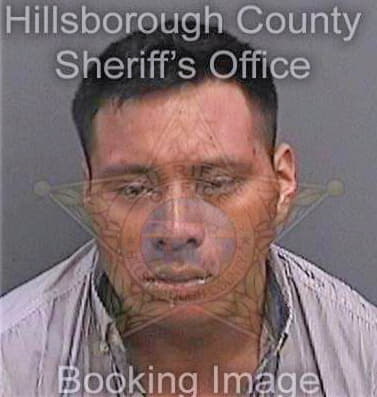 Diazhernandez Manuel - Hillsborough County, FL 