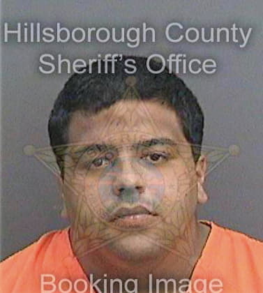 Perez Sigfredo - Hillsborough County, FL 