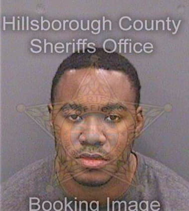 Sims Christopher - Hillsborough County, FL 