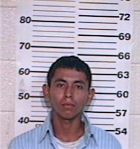 Martinez Daniel - Hidalgo County, TX 