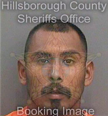 Sanchez Alferdo - Hillsborough County, FL 