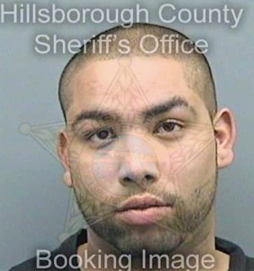 Velez Julian - Hillsborough County, FL 