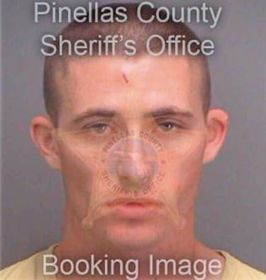 Hinton Mitchell - Pinellas County, FL 