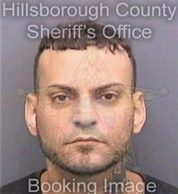 Martinez Alejandro - Hillsborough County, FL 