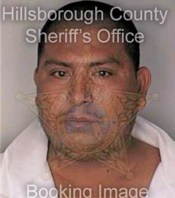 Gomezalvarado Gilberto - Hillsborough County, FL 