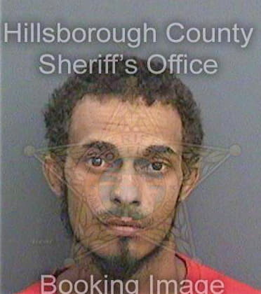 Ferguson Michael - Hillsborough County, FL 