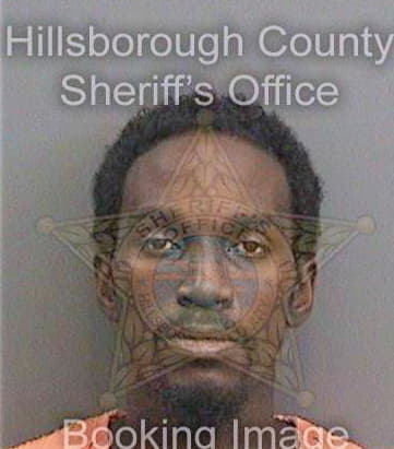 Levine Ottis - Hillsborough County, FL 