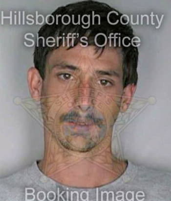 Richardson Tobius - Hillsborough County, FL 