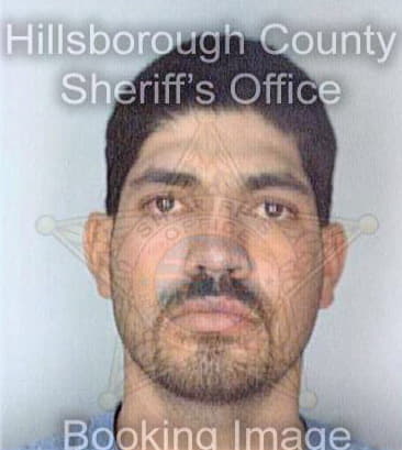 Paradarodriguez Jorge - Hillsborough County, FL 