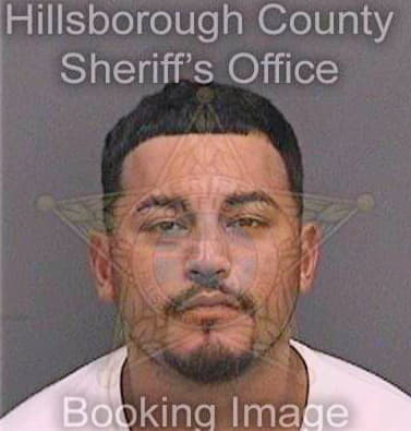 Medina Jesus - Hillsborough County, FL 