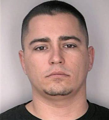 Skeens Nicholas - Hillsborough County, FL 