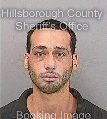 Gonzalezdiaz Martin - Hillsborough County, FL 