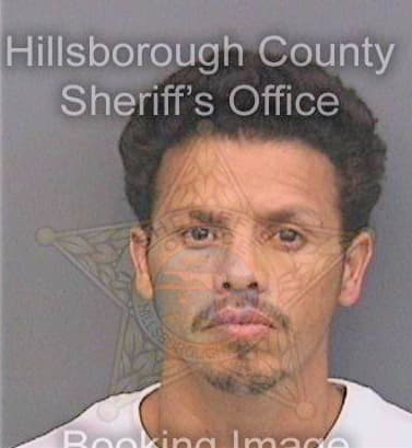 Castellano Carlos - Hillsborough County, FL 