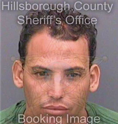 Fernandez Danyer - Hillsborough County, FL 