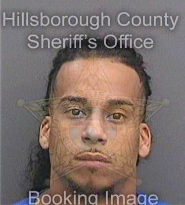 Rivera Cesar - Hillsborough County, FL 