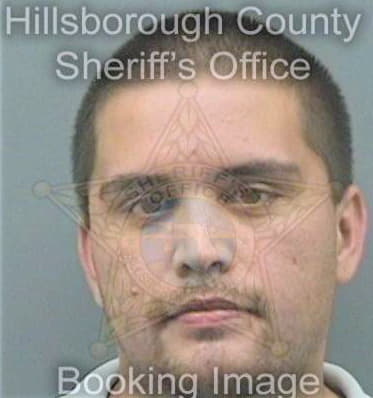 Mccarthy Michael - Hillsborough County, FL 