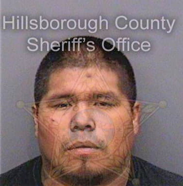 Torrezrosales Rigoberto - Hillsborough County, FL 