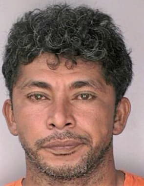 Borges Wilson - Hillsborough County, FL 